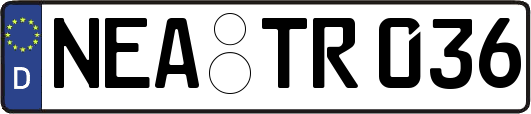 NEA-TR036