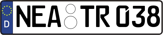 NEA-TR038