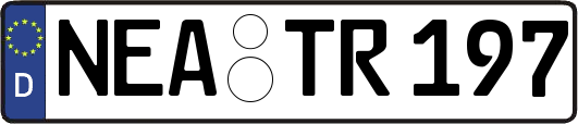 NEA-TR197