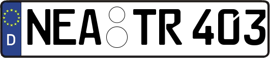NEA-TR403