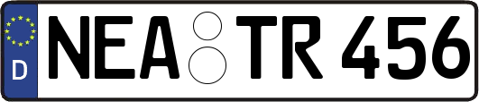 NEA-TR456