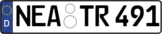 NEA-TR491