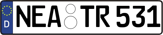 NEA-TR531