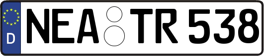 NEA-TR538