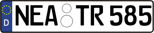 NEA-TR585