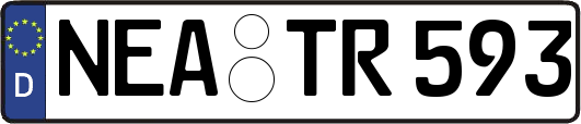 NEA-TR593