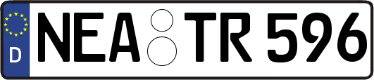 NEA-TR596