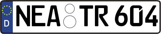 NEA-TR604