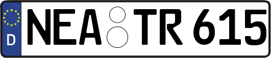 NEA-TR615