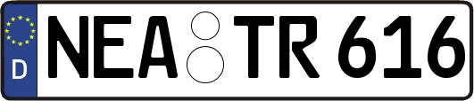 NEA-TR616