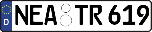 NEA-TR619