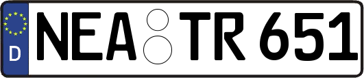 NEA-TR651
