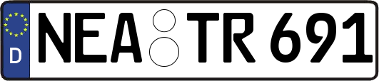 NEA-TR691