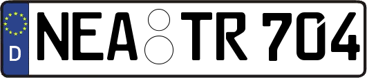 NEA-TR704