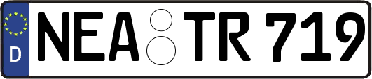 NEA-TR719