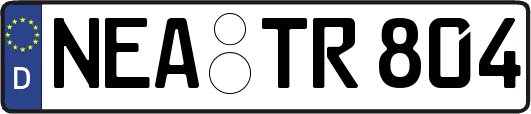 NEA-TR804