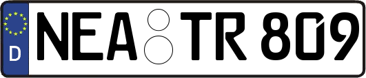 NEA-TR809