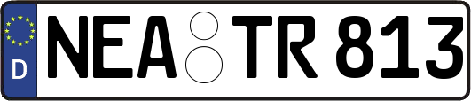 NEA-TR813