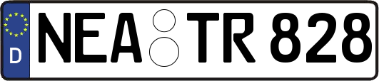 NEA-TR828