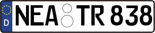 NEA-TR838