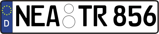 NEA-TR856