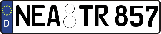 NEA-TR857