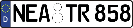 NEA-TR858