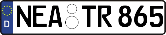 NEA-TR865