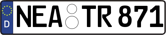 NEA-TR871