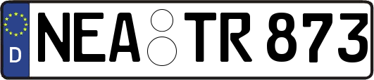 NEA-TR873