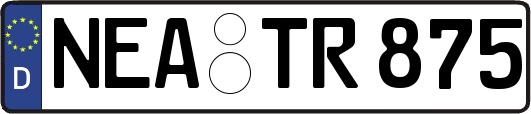 NEA-TR875