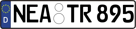 NEA-TR895