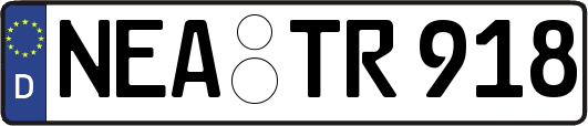NEA-TR918