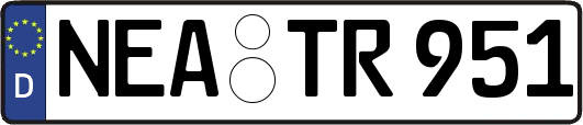 NEA-TR951