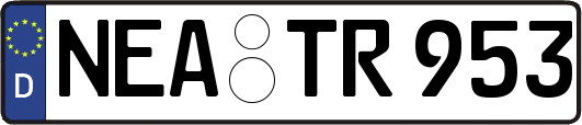 NEA-TR953