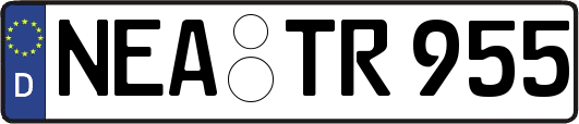 NEA-TR955