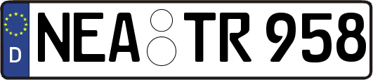 NEA-TR958