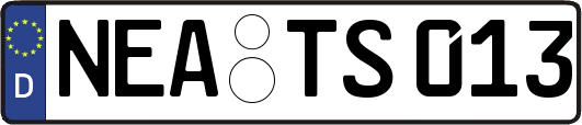 NEA-TS013