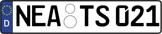 NEA-TS021