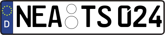 NEA-TS024