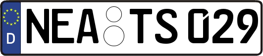 NEA-TS029