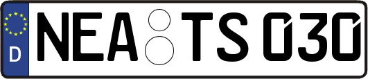 NEA-TS030