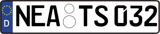 NEA-TS032