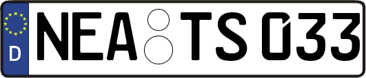 NEA-TS033