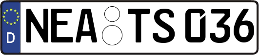 NEA-TS036