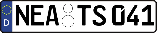 NEA-TS041