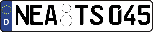 NEA-TS045