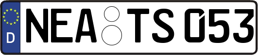 NEA-TS053