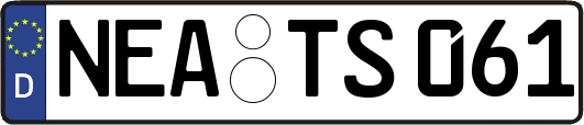 NEA-TS061