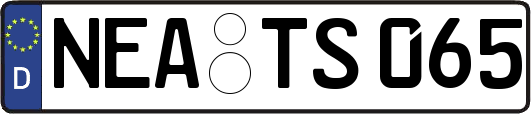 NEA-TS065